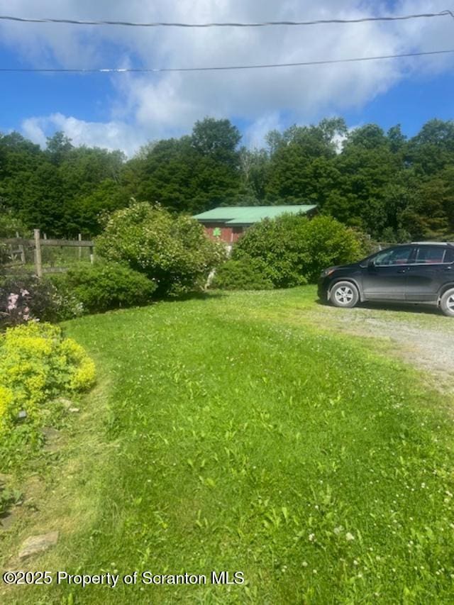 445 Bush Rd, Montrose, PA 18801 - view of yard