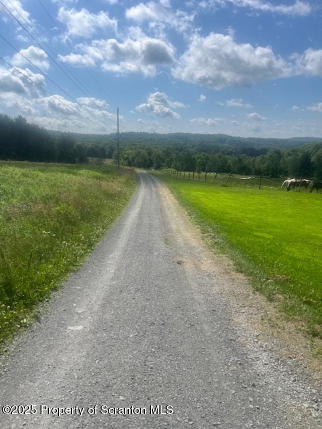 445 Bush Rd, Montrose, PA 18801 - view of dirt / gravel road featuring a view of rural / pastoral area
