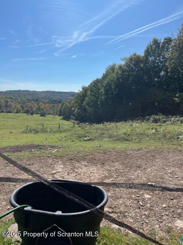 445 Bush Rd, Montrose, PA 18801 - view of yard