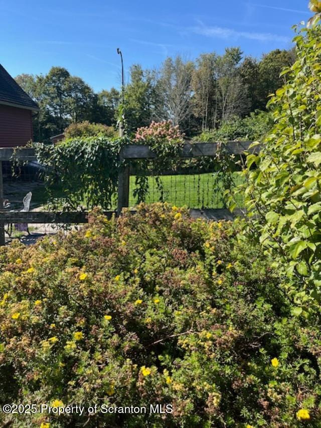 445 Bush Rd, Montrose, PA 18801 - view of yard