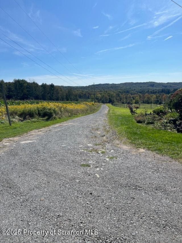 445 Bush Rd, Montrose, PA 18801 - view of dirt / gravel road