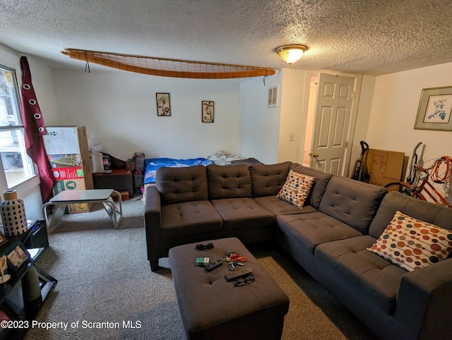 121 Sand St, Dunmore, PA 18510 - living area with carpet and a textured ceiling