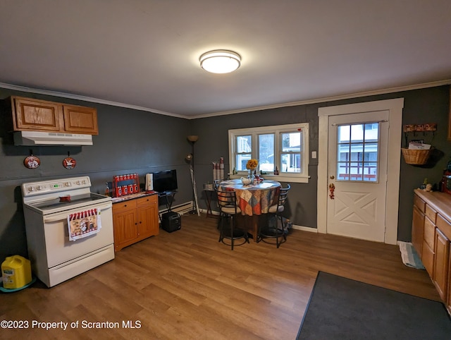 121 Sand St, Dunmore, PA 18510 - kitchen with electric stove, under cabinet range hood, light wood-style floors, crown molding, and brown cabinets