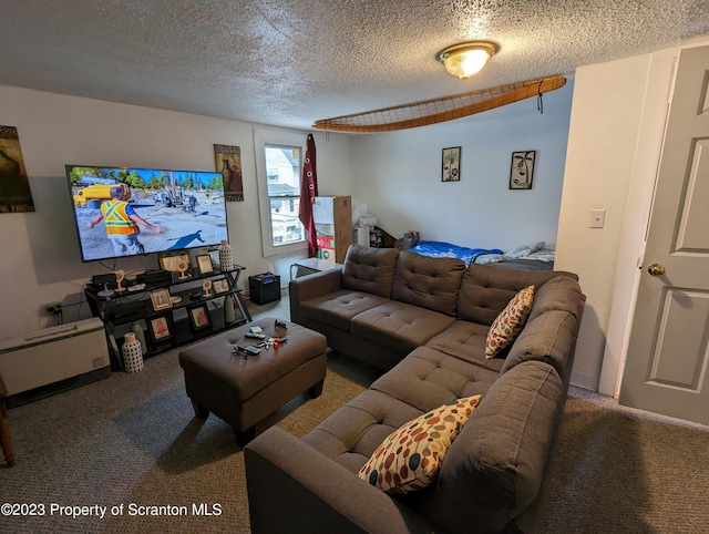 121 Sand St, Dunmore, PA 18510 - living area with carpet and a textured ceiling