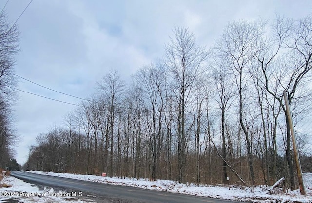 LOT15 Jubilee, Covington Twp PA, 18444 land for sale