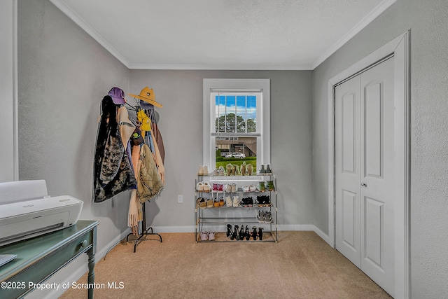 115 Marion St, Old Forge, PA 18518 - misc room with carpet flooring, ornamental molding, and baseboards