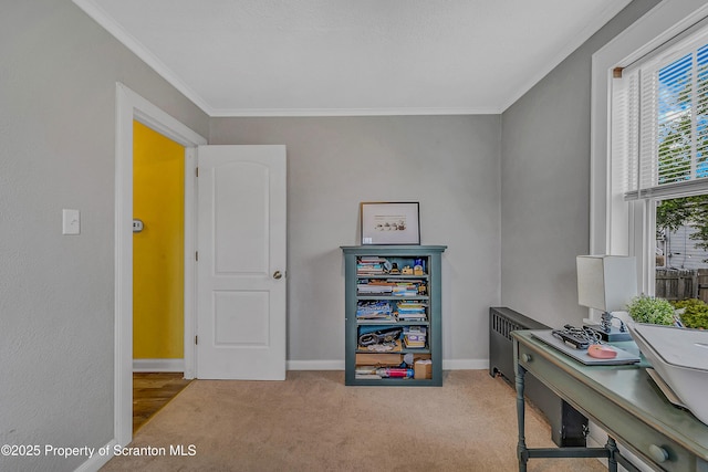 115 Marion St, Old Forge, PA 18518 - office area featuring ornamental molding, carpet floors, baseboards, and radiator