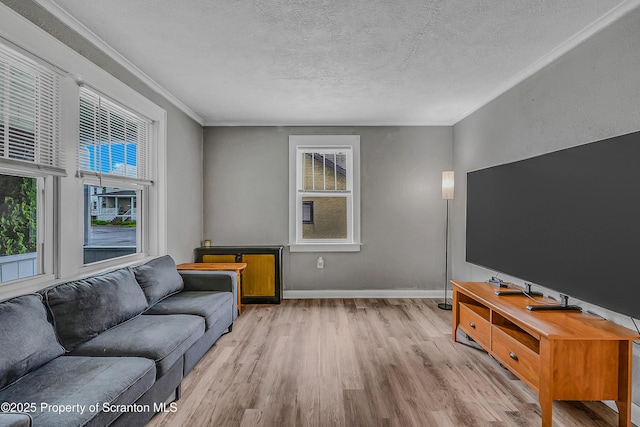 115 Marion St, Old Forge, PA 18518 - living area with a textured ceiling, wood finished floors, ornamental molding, and baseboards