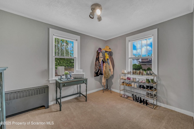 115 Marion St, Old Forge, PA 18518 - miscellaneous room with radiator, carpet flooring, plenty of natural light, baseboards, and a textured ceiling