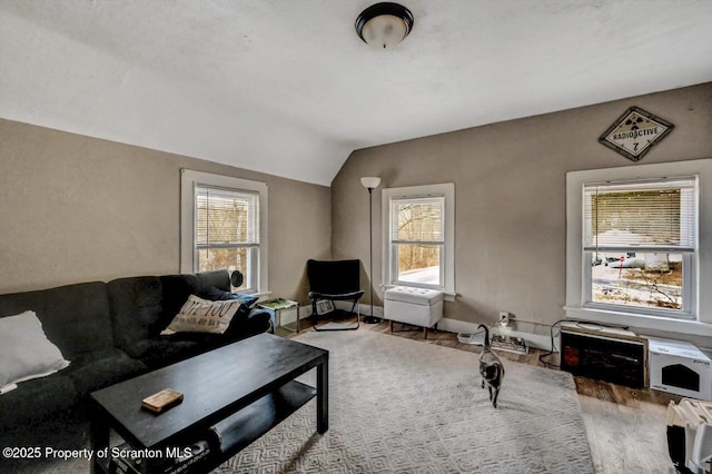 living room featuring hardwood / wood-style floors, a healthy amount of sunlight, and lofted ceiling