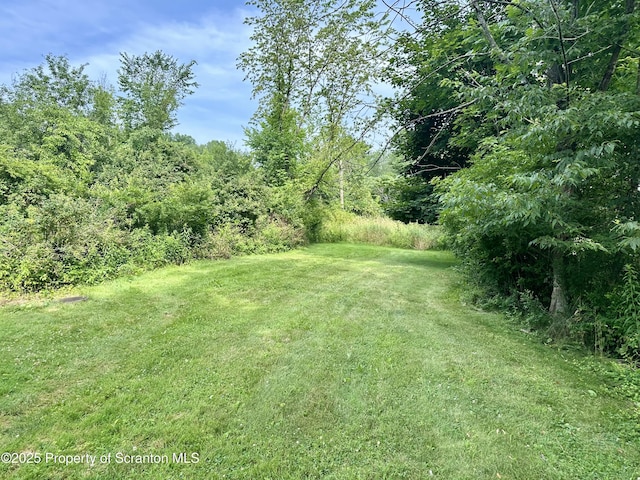 1395 Old Trail Rd 1393, Clarks Summit, PA 18411 - photo 28