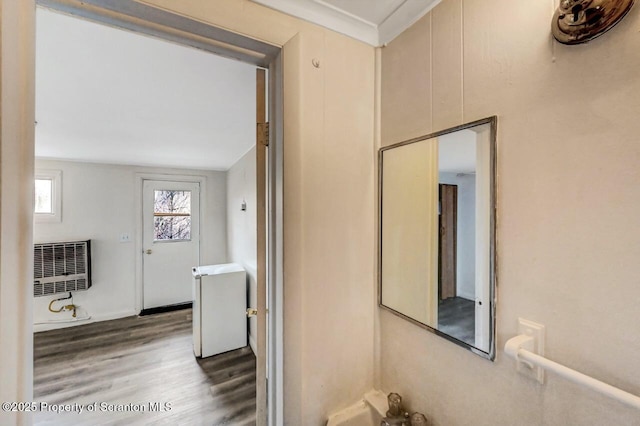 bathroom with radiator heating unit and wood-type flooring