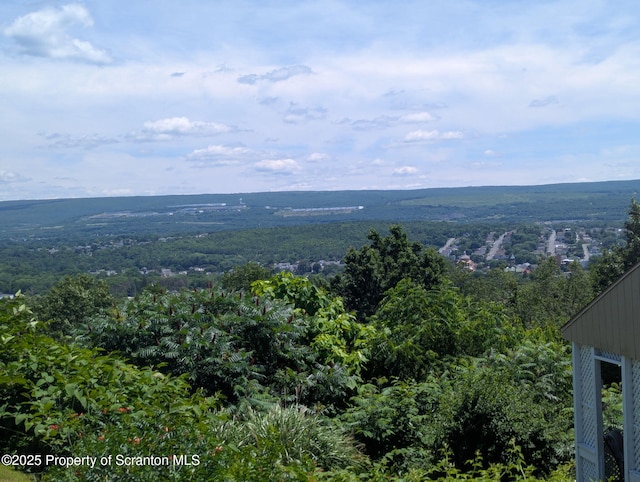 1614 Scott Rd, Blakely, PA 18447 - photo 60