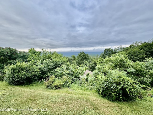 1614 Scott Rd, Blakely, PA 18447 - photo 2