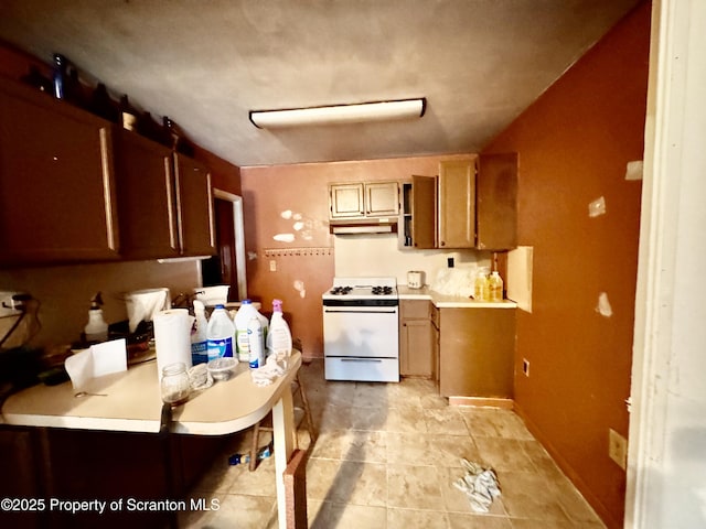 1614 Scott Rd, Blakely, PA 18447 - photo 84
