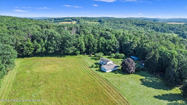 4089 State Route 2073, Kingsley, PA 18826 - photo 8