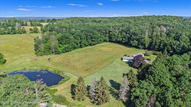 4089 State Route 2073, Kingsley, PA 18826 - photo 9
