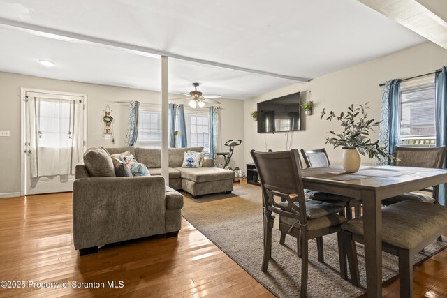 507 Pear St, Scranton, PA 18505 - photo 7