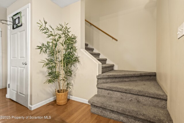 507 Pear St, Scranton, PA 18505 - photo 19