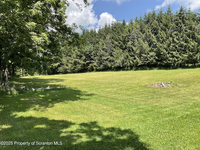 135 Spudeno Rd, Moscow, PA 18444 - photo 7