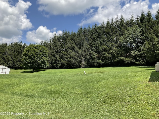 135 Spudeno Rd, Moscow, PA 18444 - photo 5