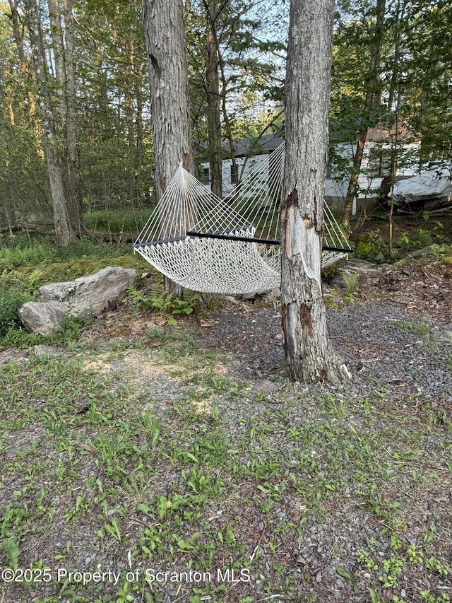 10 Lazy Squaw Trl, Gouldsboro, PA 18424 - view of yard