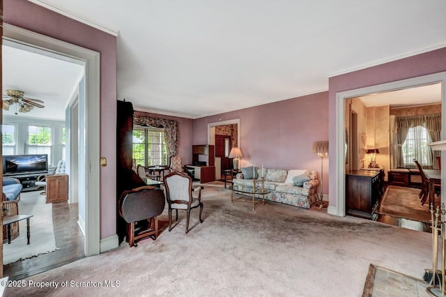 1614 Jefferson Ave, Dunmore, PA 18509 - living room with healthy amount of natural light, baseboards, ornamental molding, and carpet
