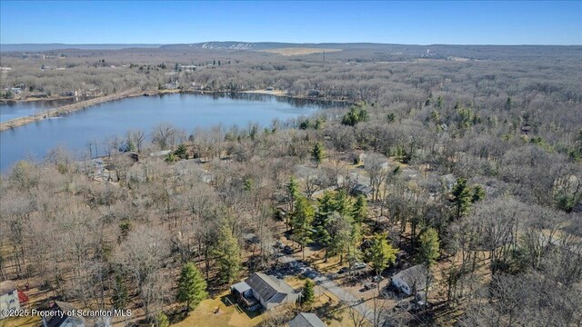 2119 Vacation Ln, Pocono Summit, PA 18346 - aerial view of property's location featuring a large body of water and a forest