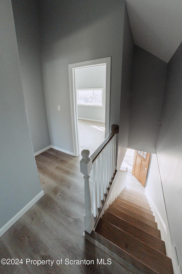 stairway with wood-type flooring