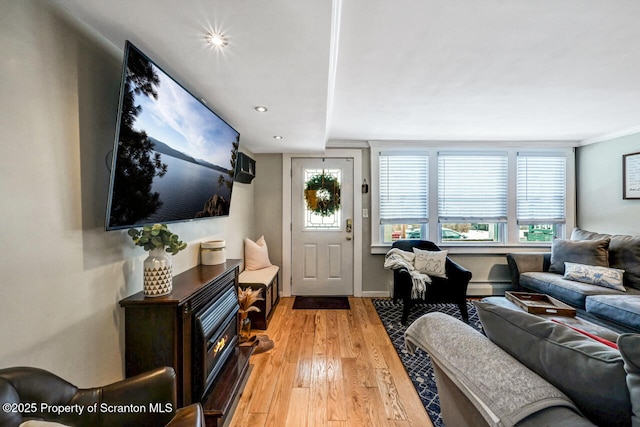 living room with baseboard heating and light hardwood / wood-style flooring