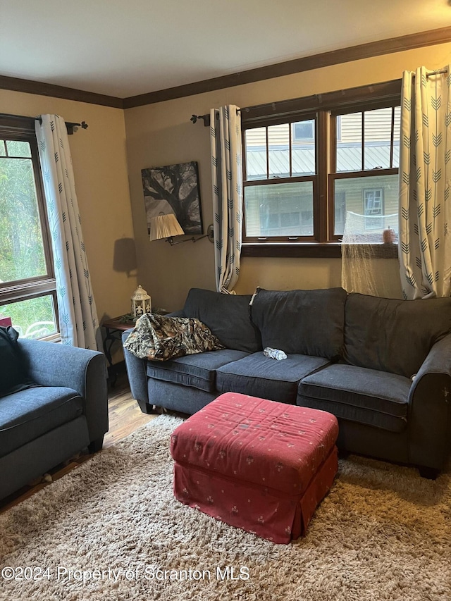 living room featuring hardwood / wood-style flooring and crown molding