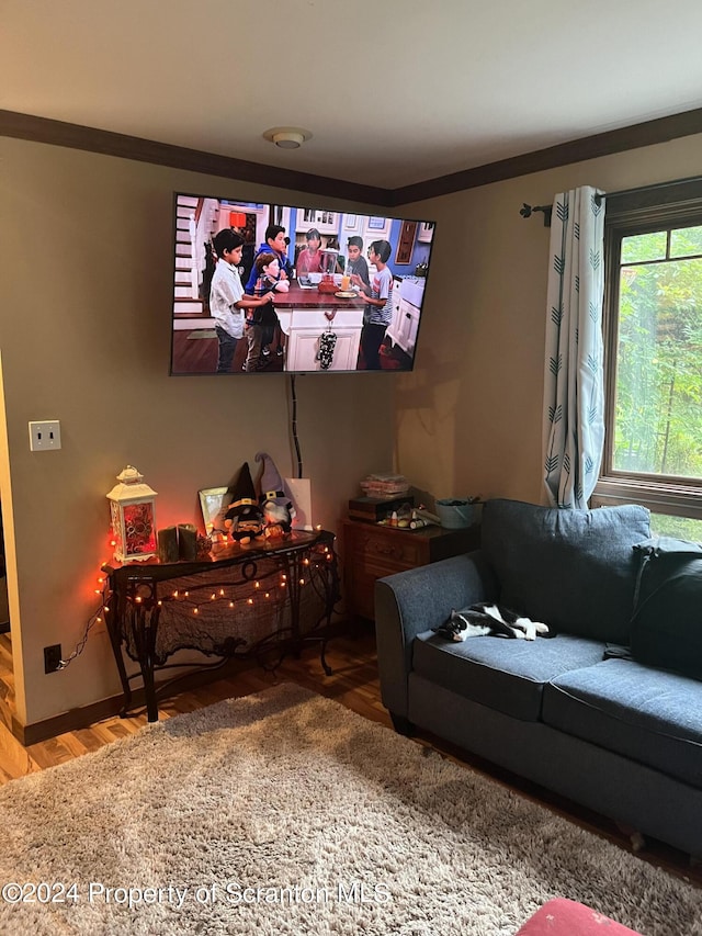 living room with hardwood / wood-style flooring and ornamental molding