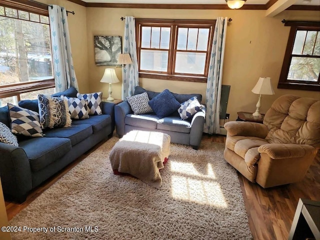 living room with wood-type flooring and crown molding