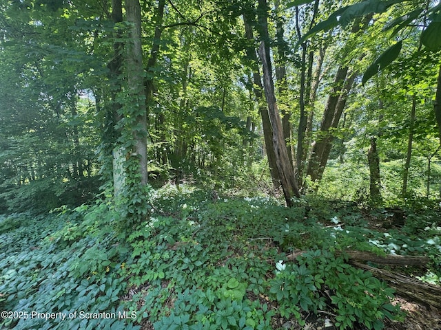 138 S Keyser Ave, Scranton, PA 18505 - photo 1