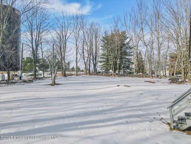 view of yard covered in snow