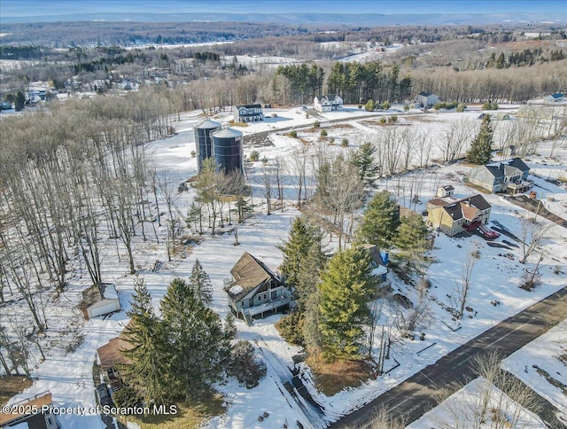 view of snowy aerial view