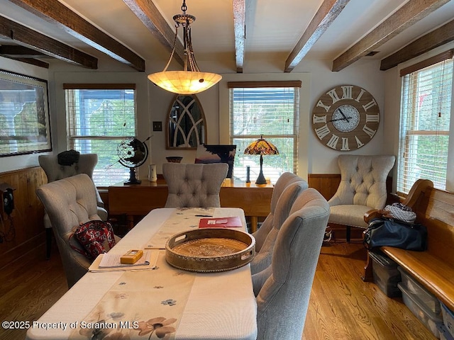 dining room with beam ceiling, wainscoting, wood walls, and wood finished floors