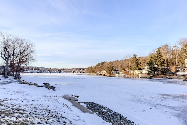 view of yard layered in snow