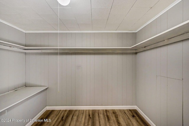 walk in closet featuring hardwood / wood-style floors