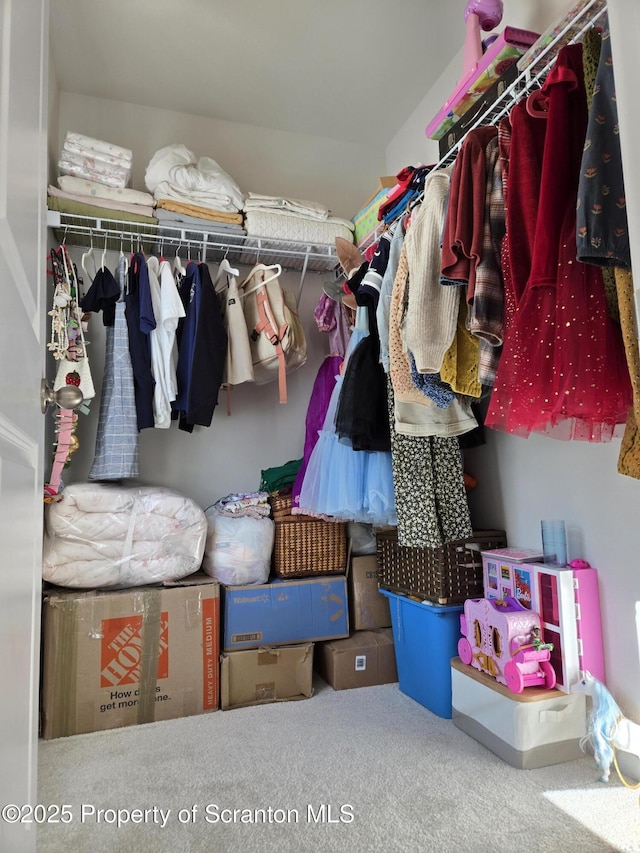 spacious closet featuring carpet