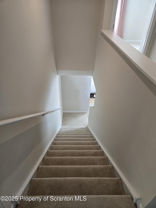 stairs featuring carpet