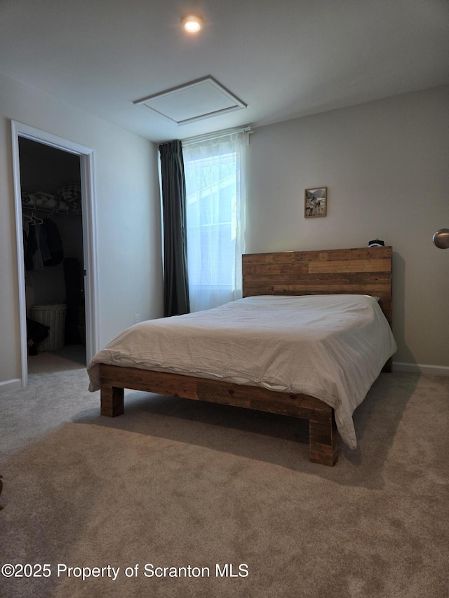 bedroom with a walk in closet, a closet, and carpet