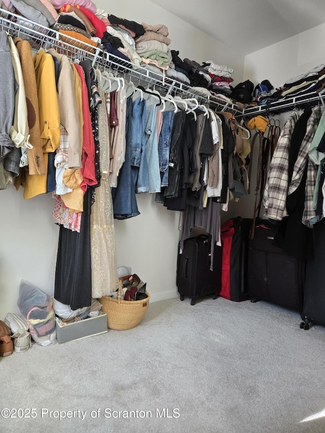 walk in closet with carpet floors