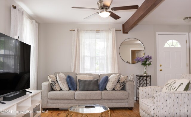 969 Throop St, Dunmore, PA 18512 - photo 16