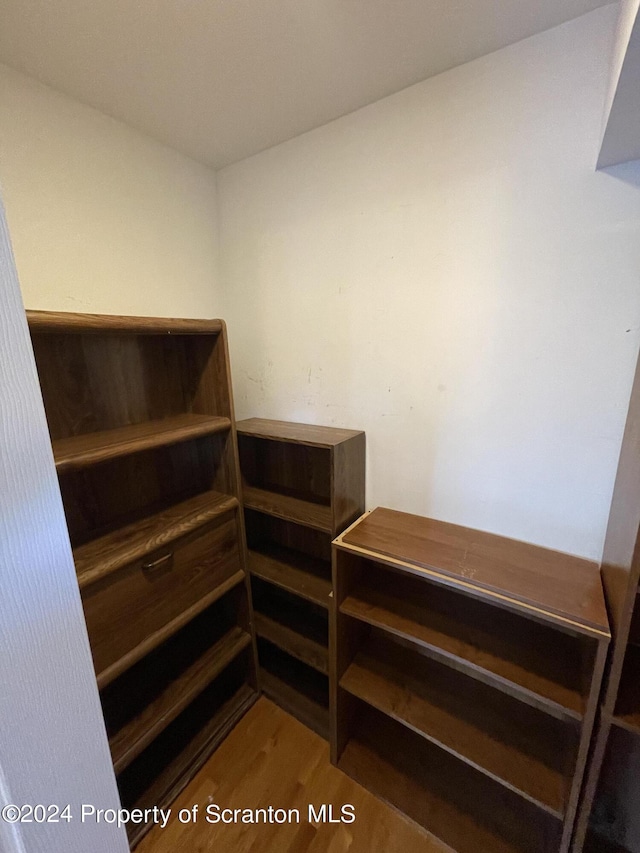 spacious closet with hardwood / wood-style floors