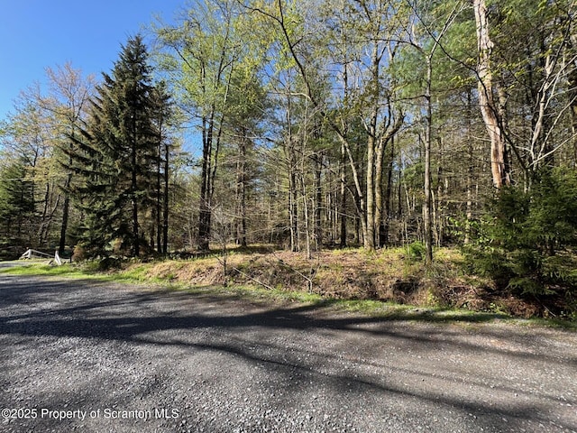 201 Sharon Ln, Thornhurst, PA 18424