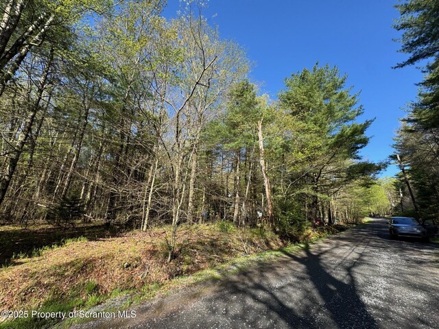 201 Sharon Ln, Thornhurst, PA 18424