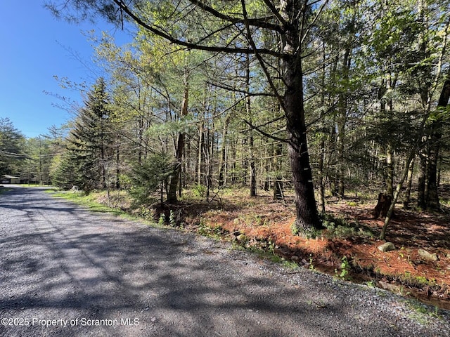 201 Sharon Ln, Thornhurst, PA 18424