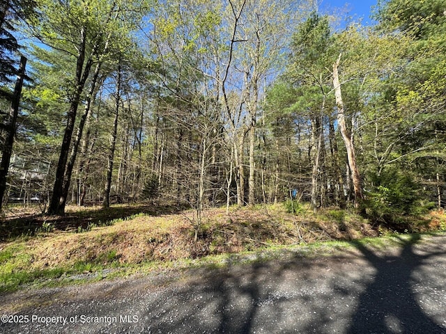 201 Sharon Ln, Thornhurst, PA 18424