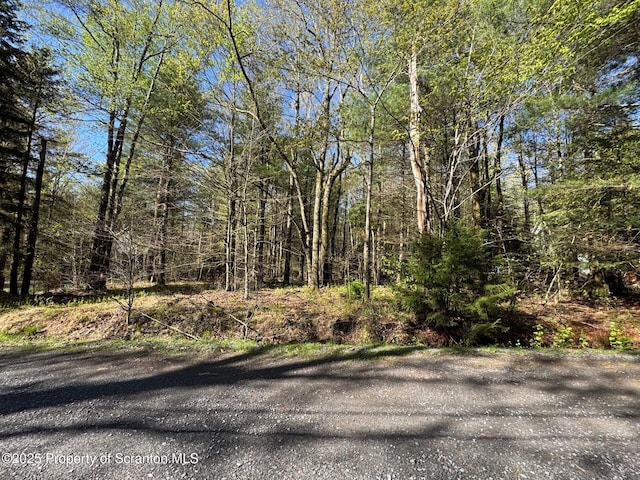 201 Sharon Ln, Thornhurst, PA 18424